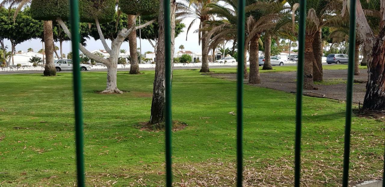 Pool & Wifi Free Shared Flat Private By Ocean Park Maspalomas (Gran Canaria)